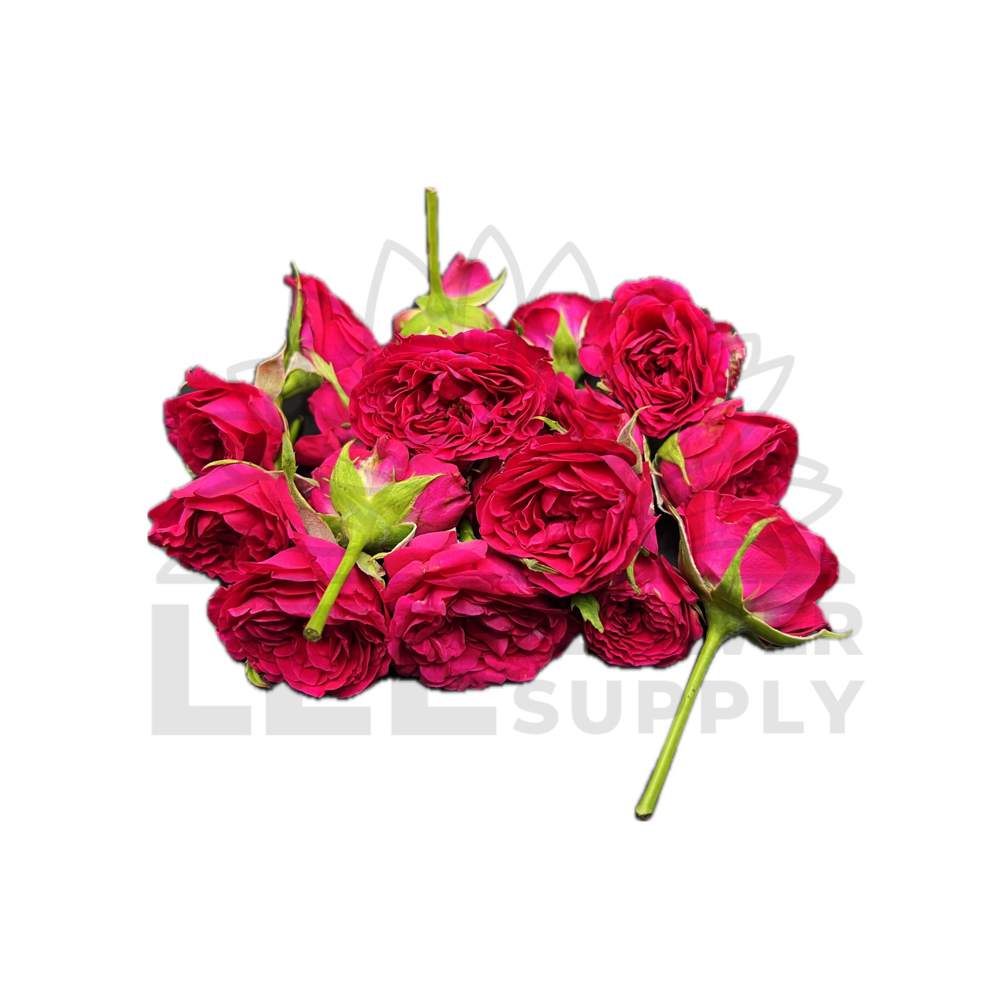 a bunch of india sauvi rose