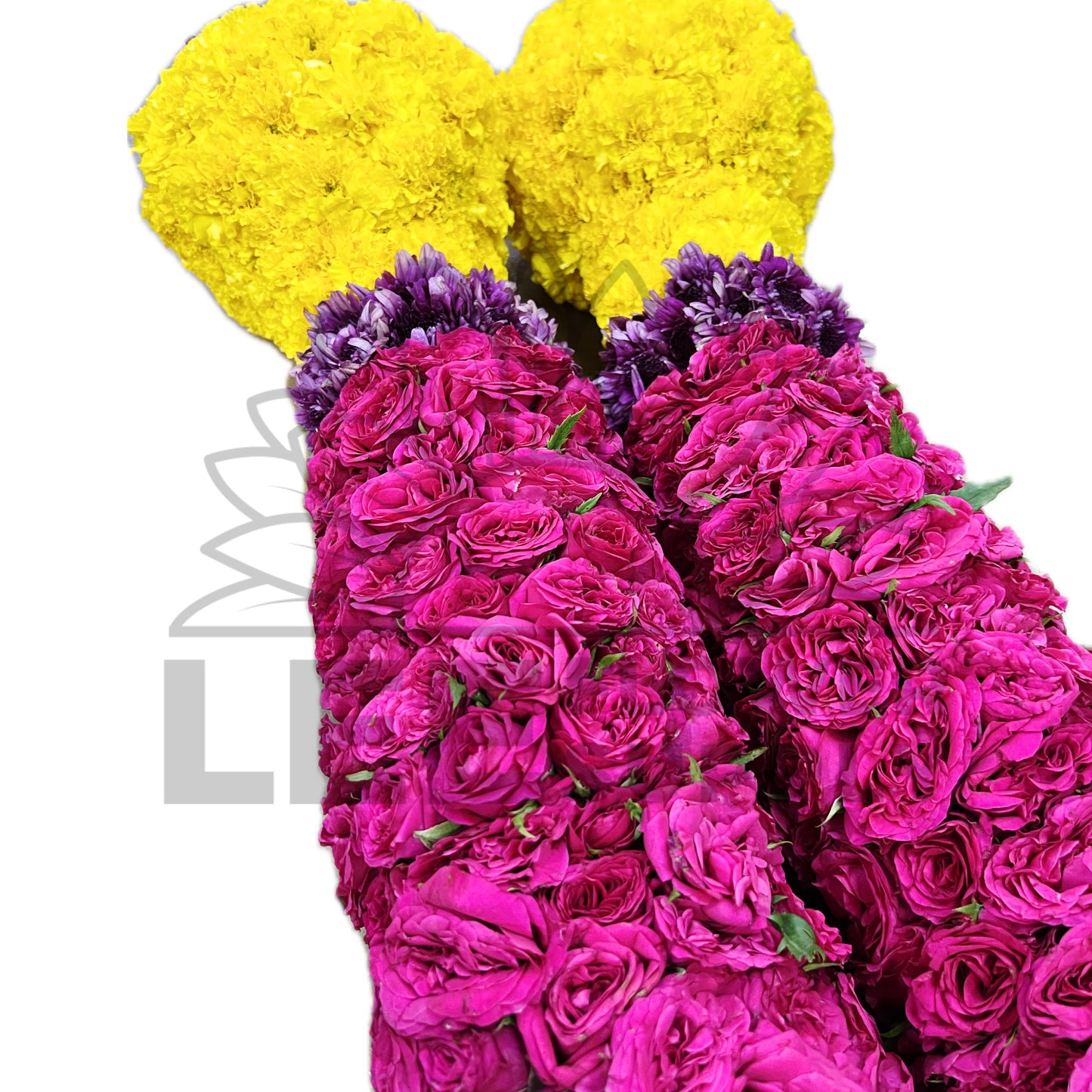 bottom view with pink/purple/yellow contrast