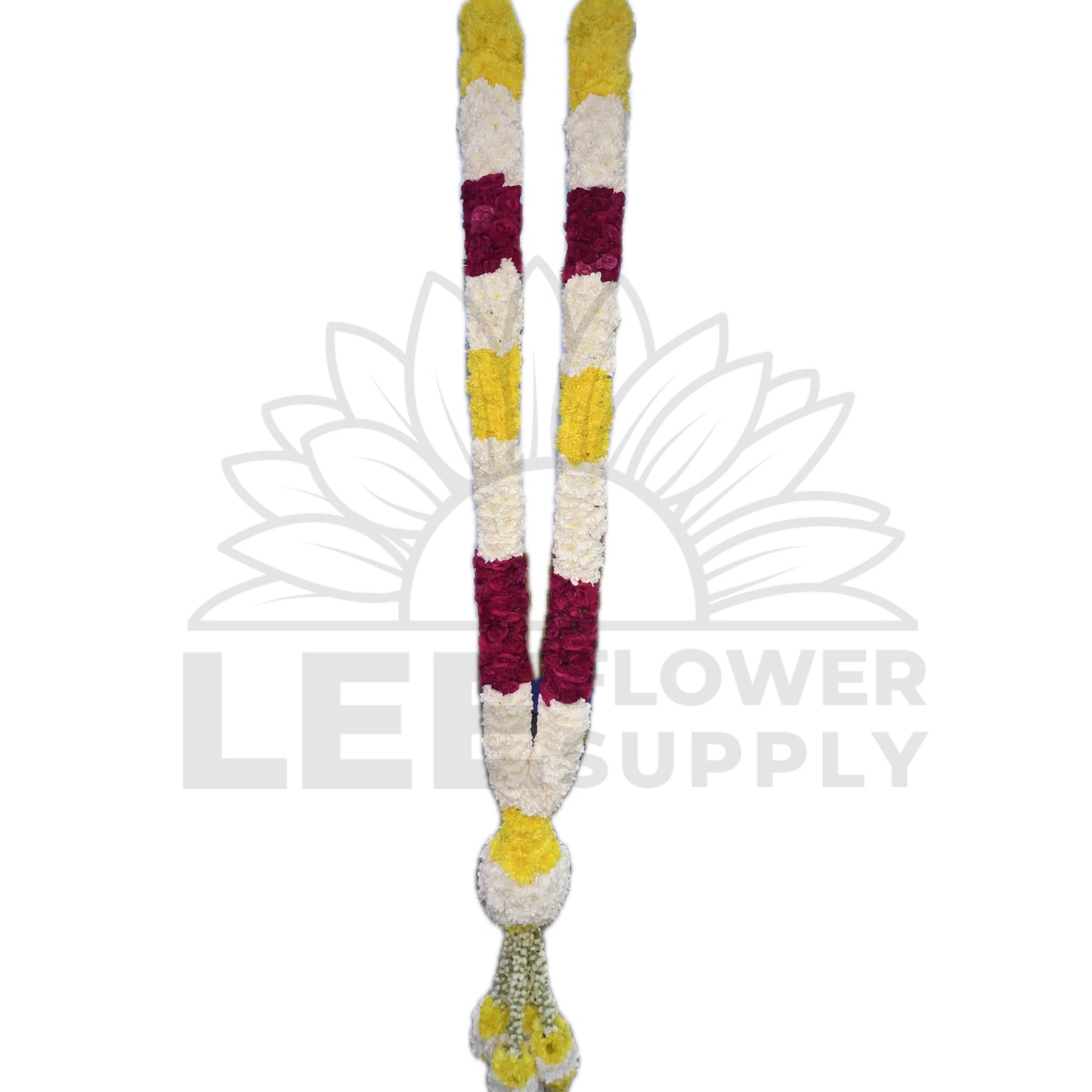 White & Yellow Chrysanthemum with India Sauvi Rose