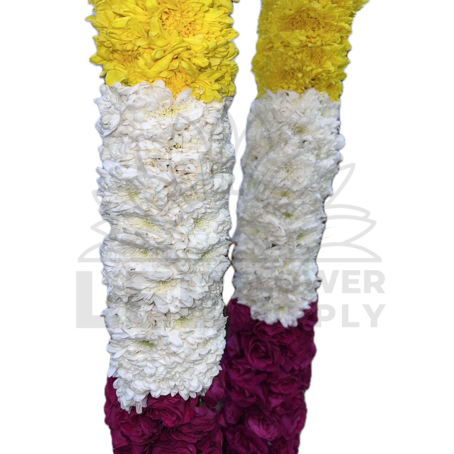 White & Yellow Chrysanthemum with India Sauvi Rose