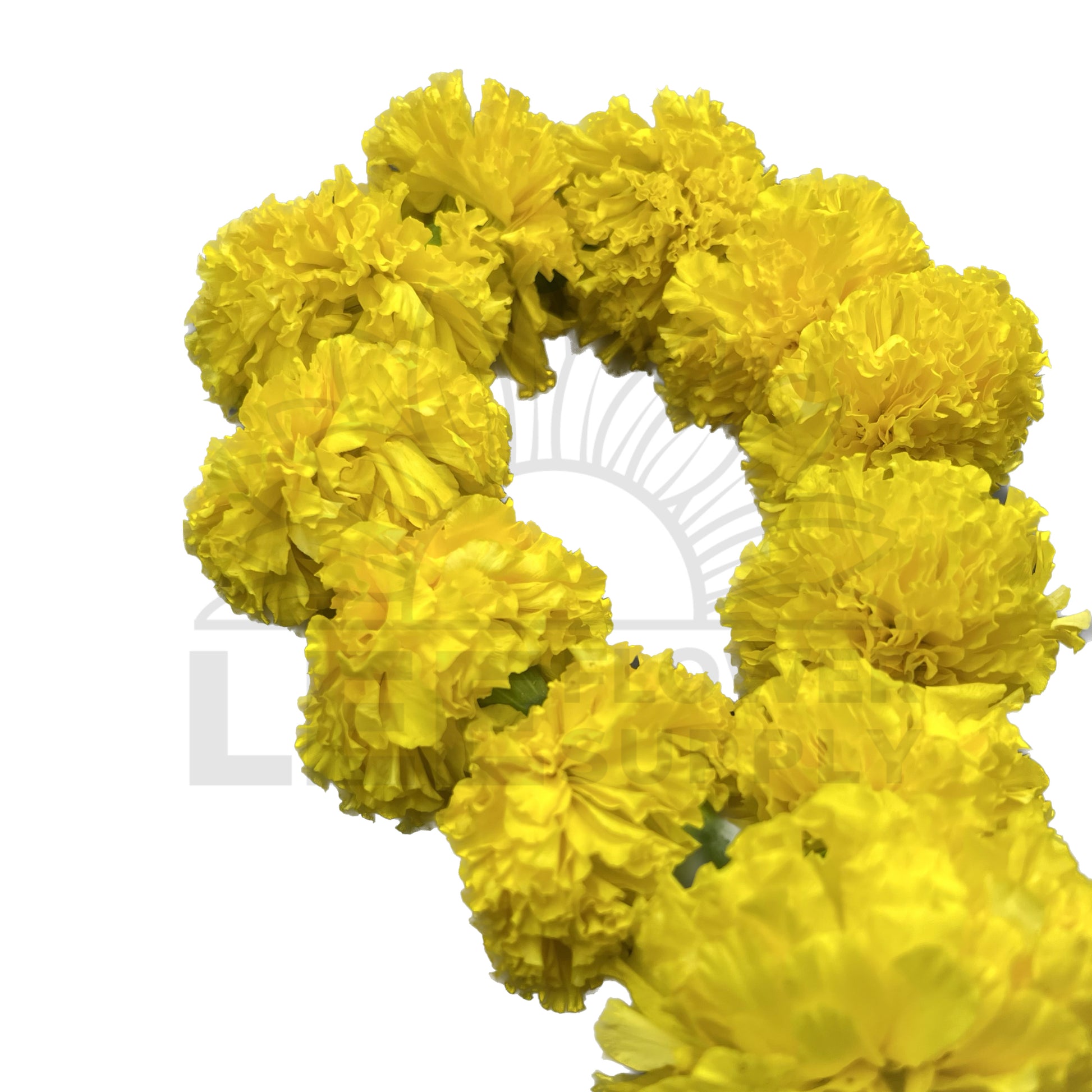 india yellow kolipu garland 13 pcs side view