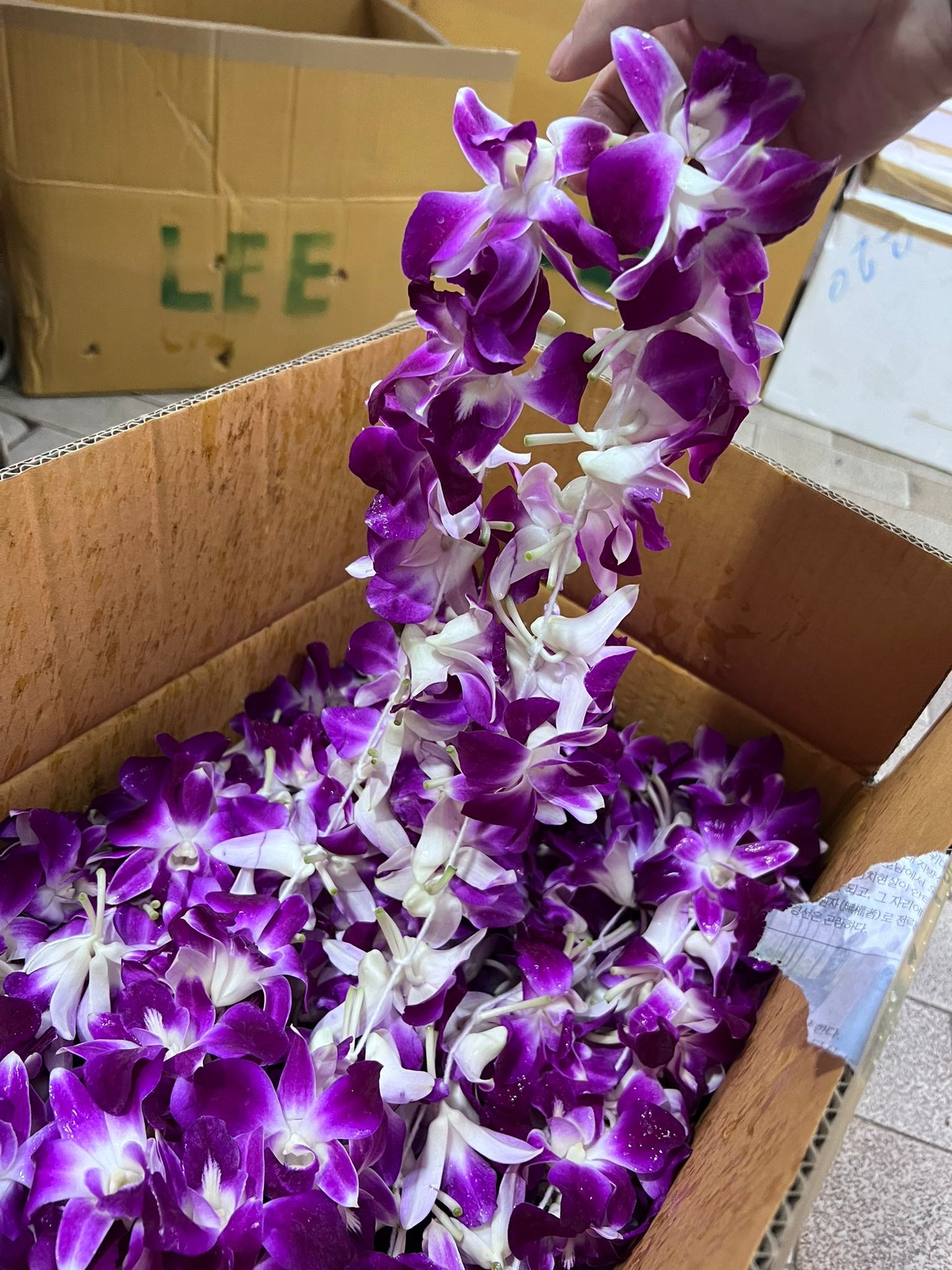 packaging view of string orchid garland