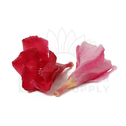 Arali, red and pink flower