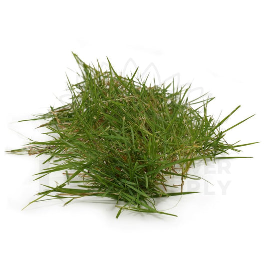 a handful of sacred grass