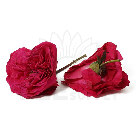 india paneer rose front and back view