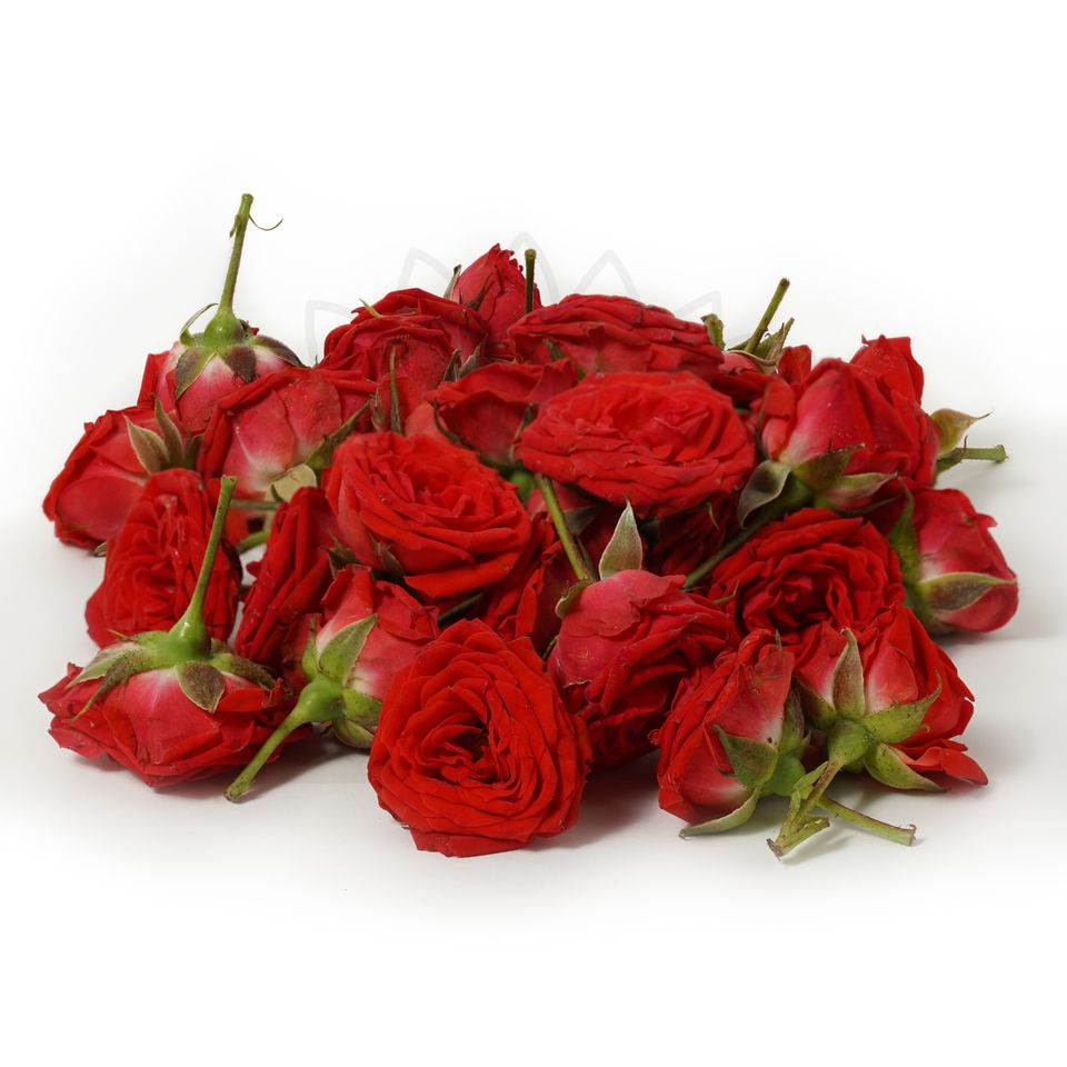 a handful of india red rose