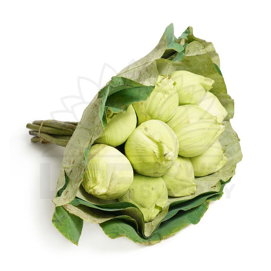 a bundle of 10 white lotus