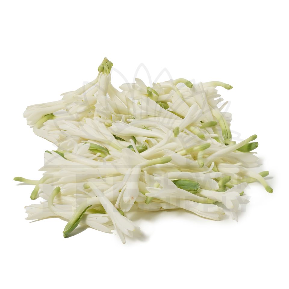 a bunch of tuberoses