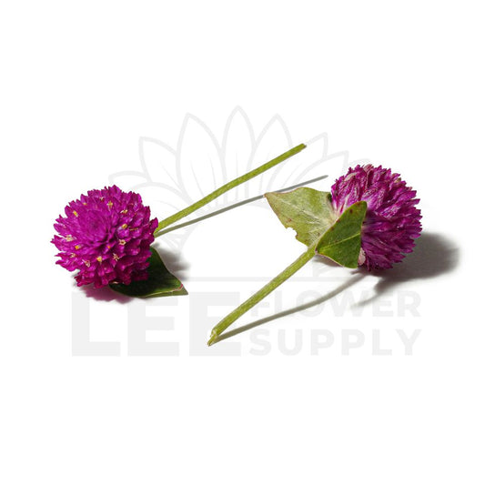 vadamalli front and back view