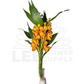 Orchid Stalk with Lotus Bamboo (5 Stalks)