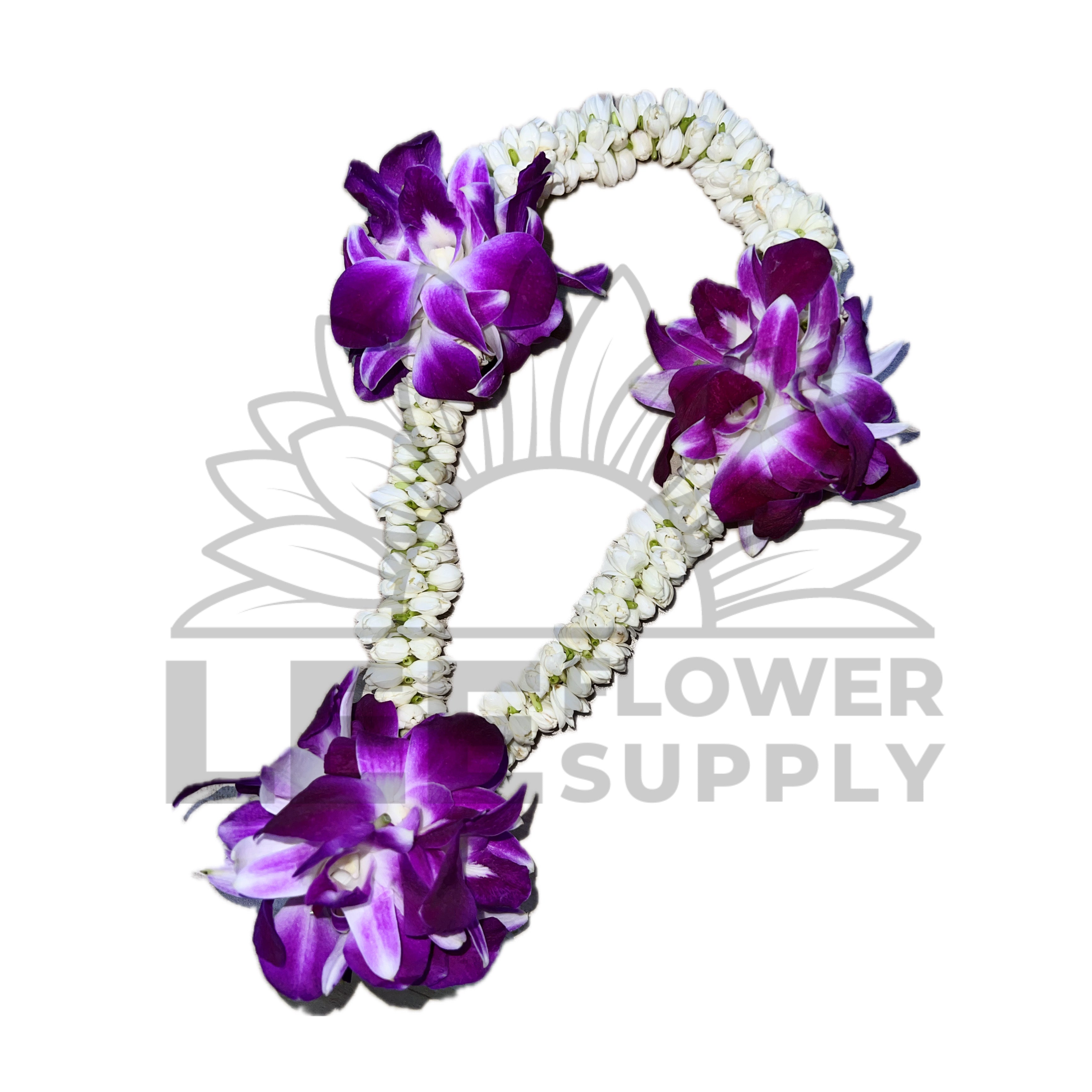 茉莉花ꕤ୭*ページପ(⑅ˊᵕˋ⑅)ଓ Orchid & Jasmine Garland – Lee Flower Supply