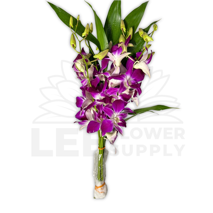 Orchid Stalk with Lotus Bamboo (5 Stalks)