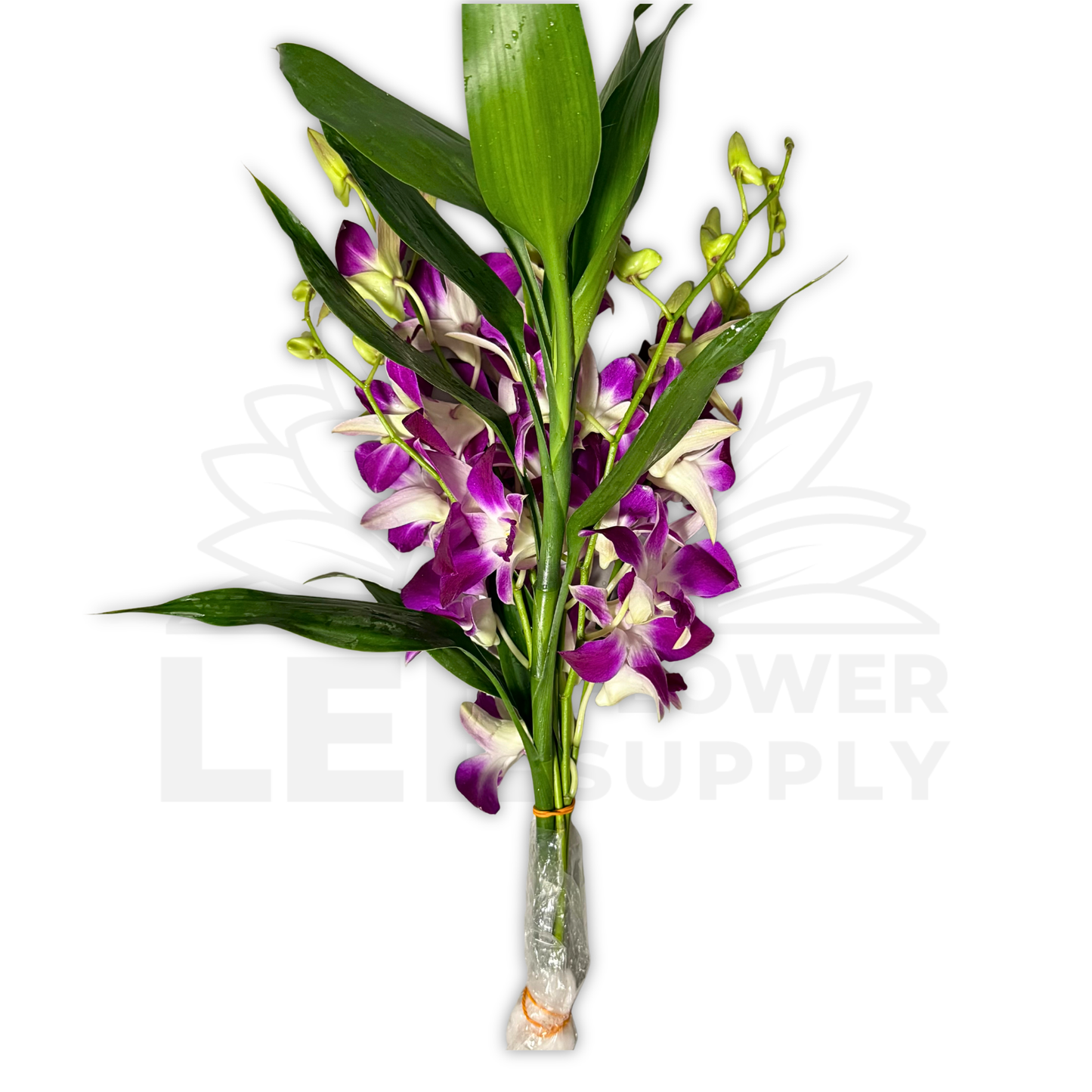 Orchid Stalk with Lotus Bamboo (5 Stalks)