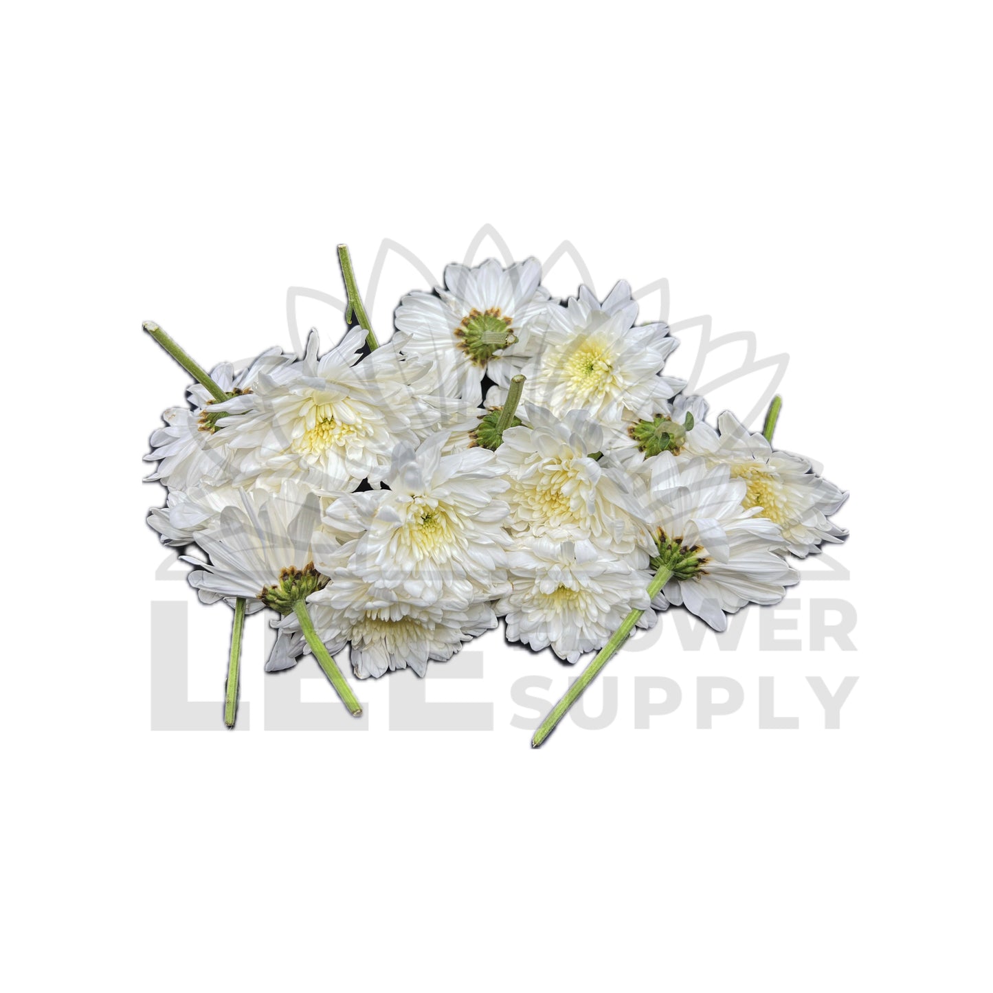 a bunch of white chrysanthem