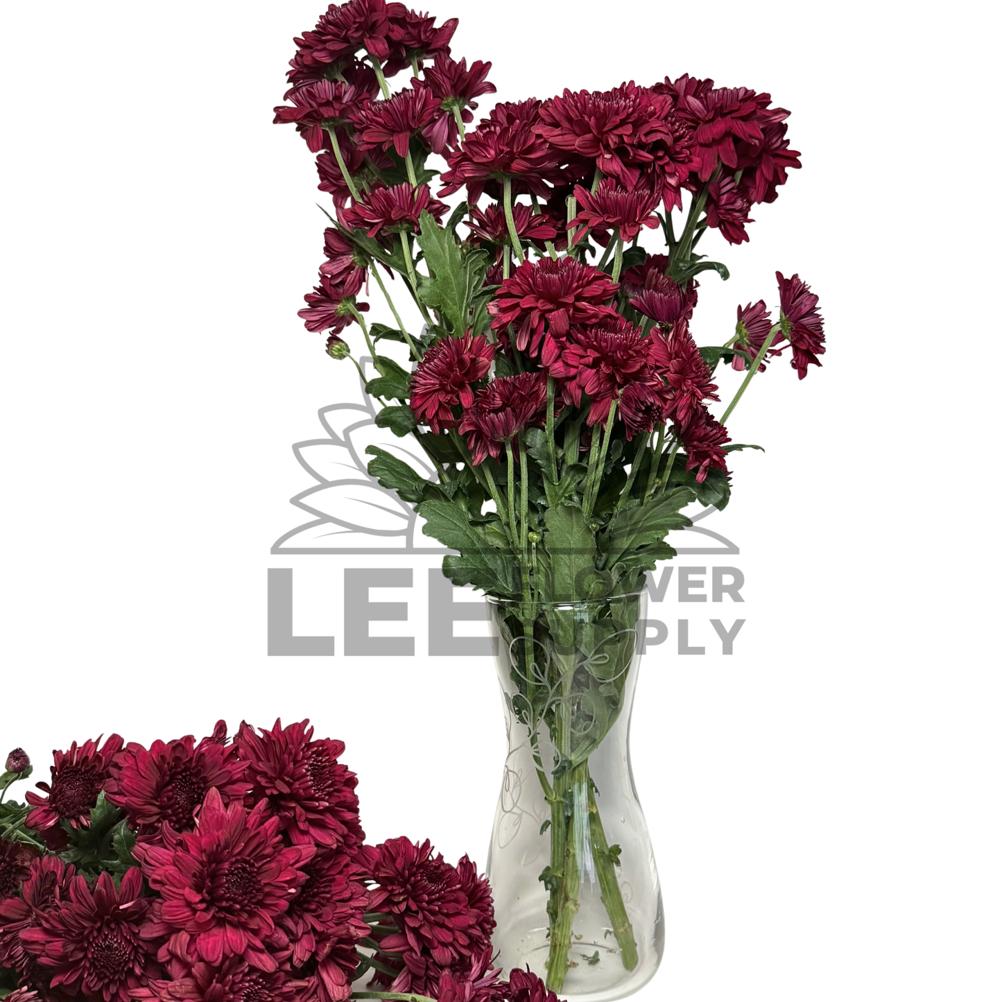 Chrysanthemum Stalk – Dark Red