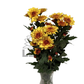 Chrysanthemum Stalk – Orange