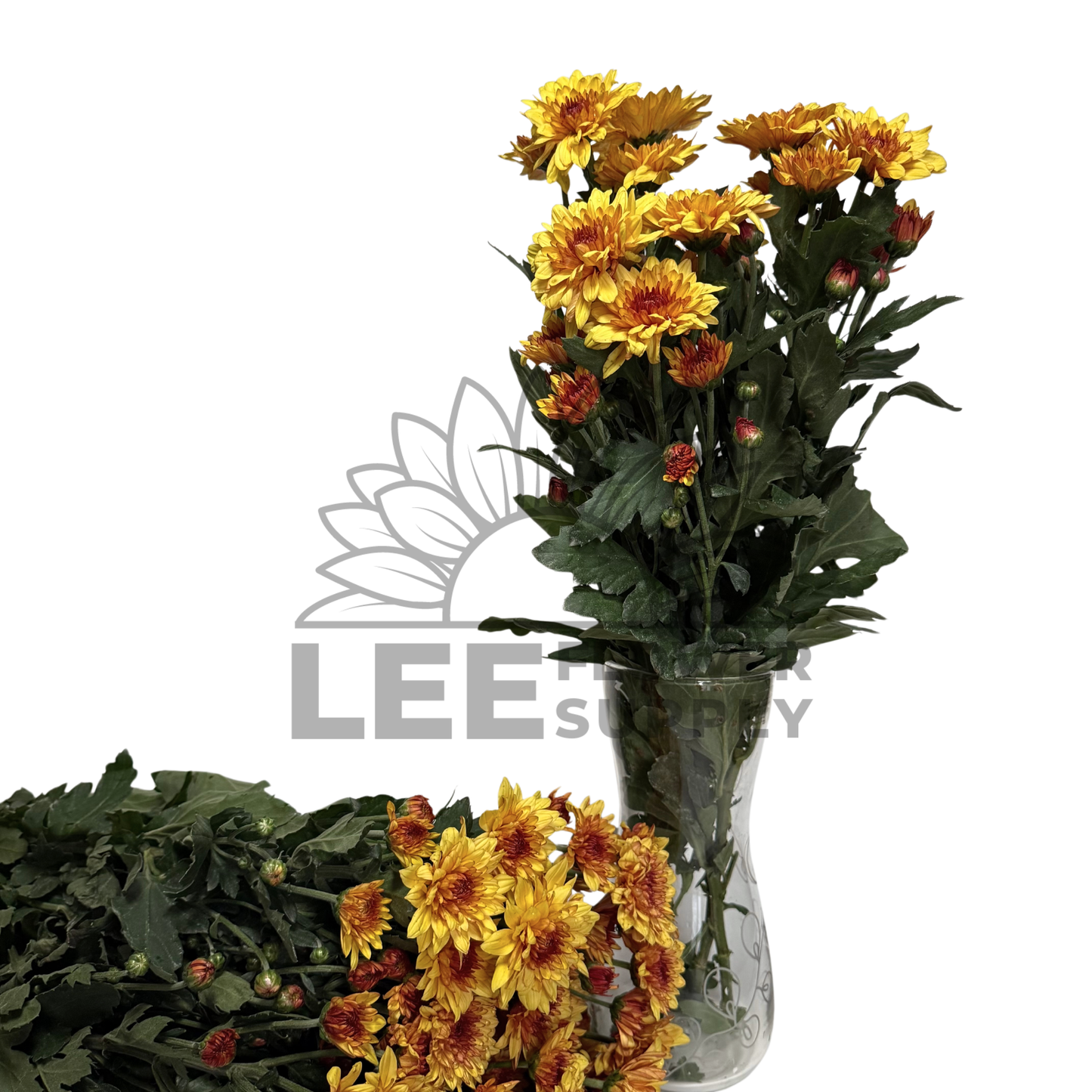 Chrysanthemum Stalk – Orange