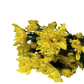 Chrysanthemum Stalk – Yellow