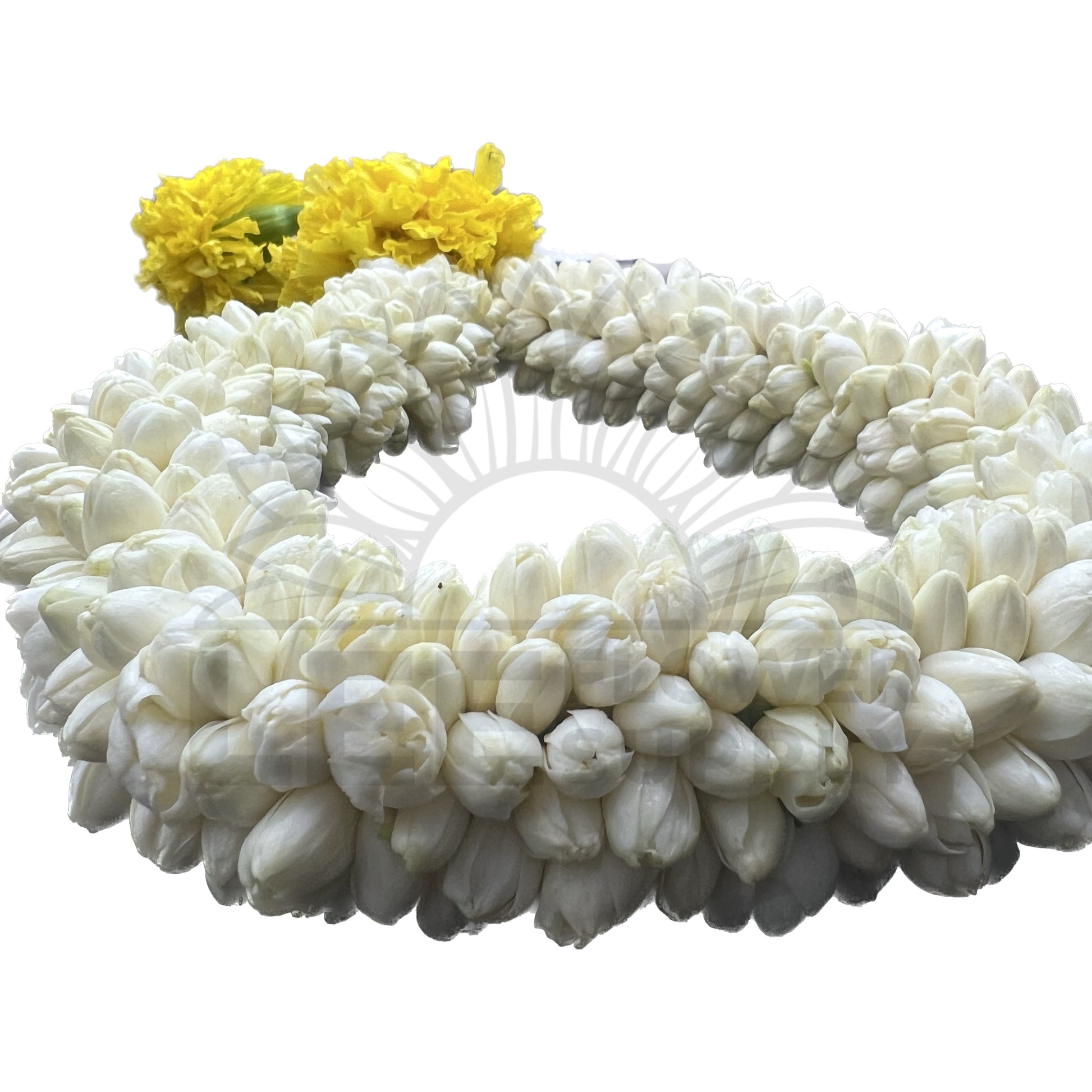 zoomed back view of extra thick jasmine garland with marigold