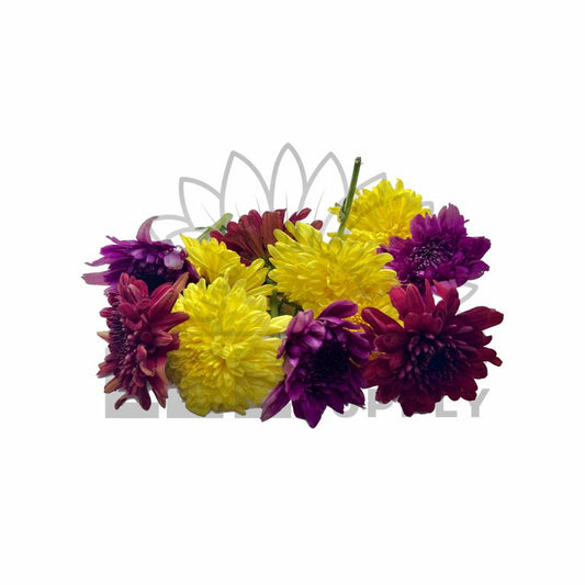 a colorful bunch of cut chrysanthemum flowers