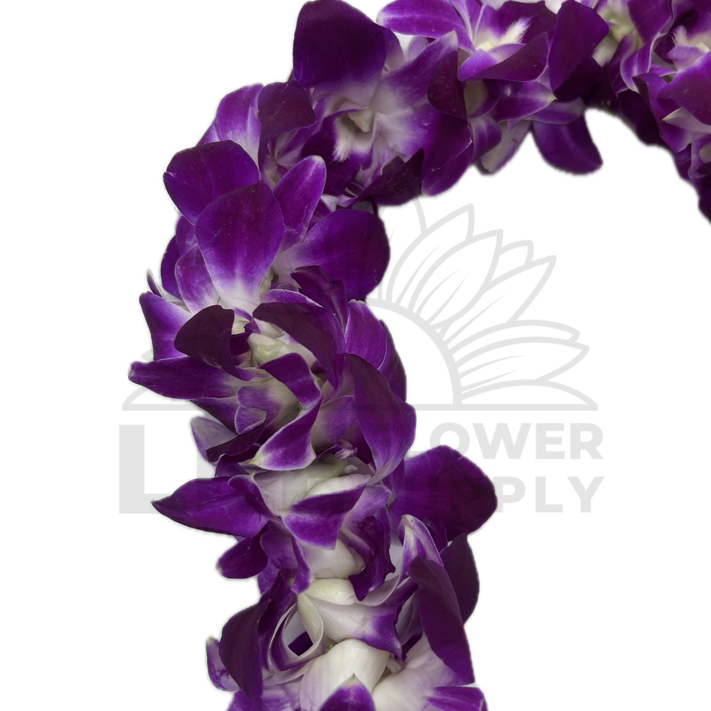 hawaii orchid garland zoomed