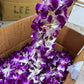 packaging view of string orchid garland