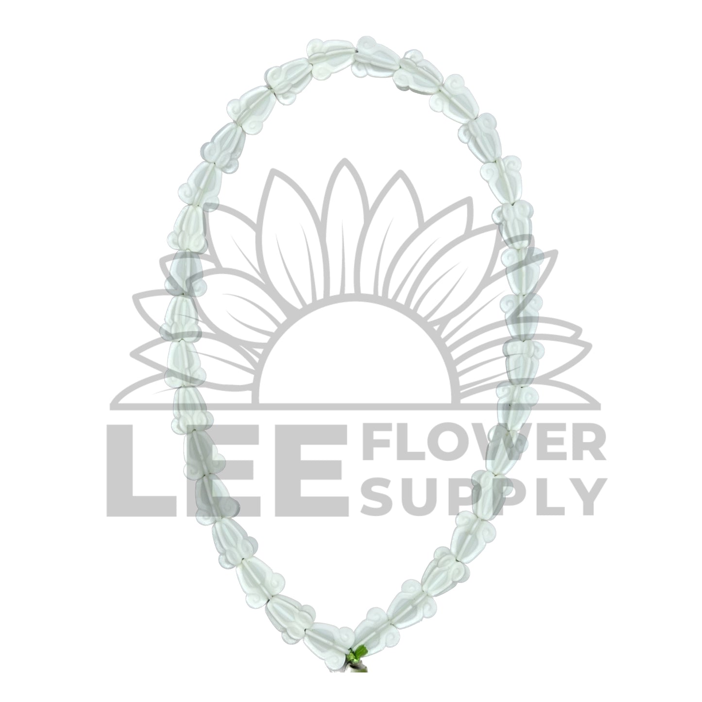 crown flower white BG