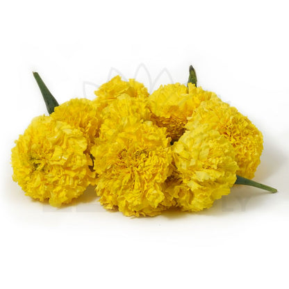 a bunch of india yellow marigold