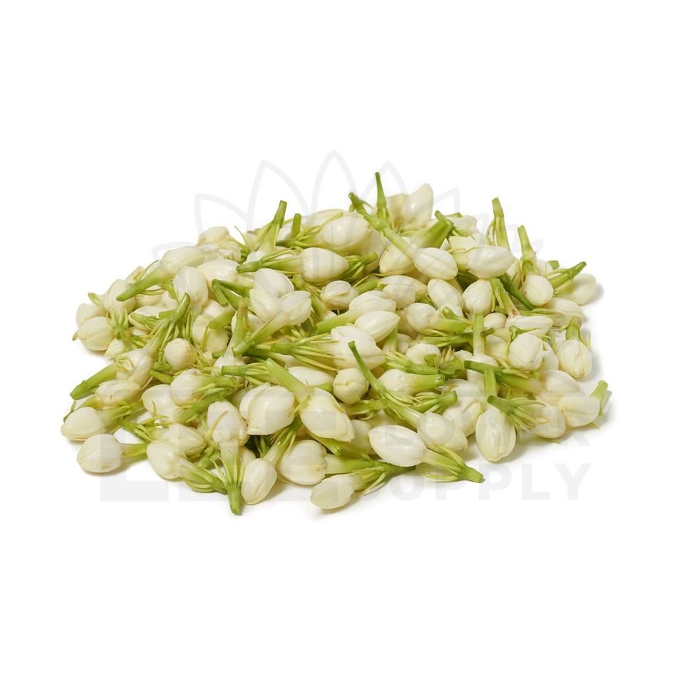 Fresh Jasmine Flower with Stalk – Lee Flower Supply
