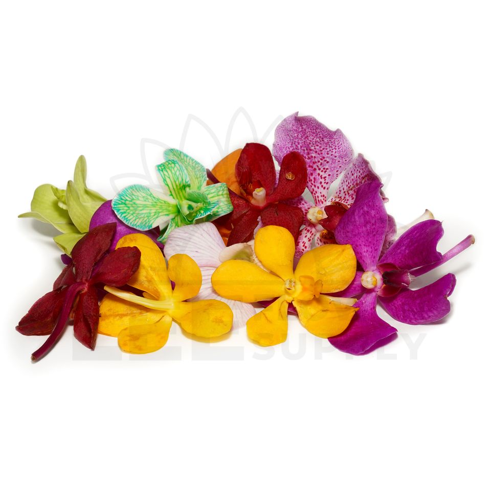 a handful of colorful orchid flowers