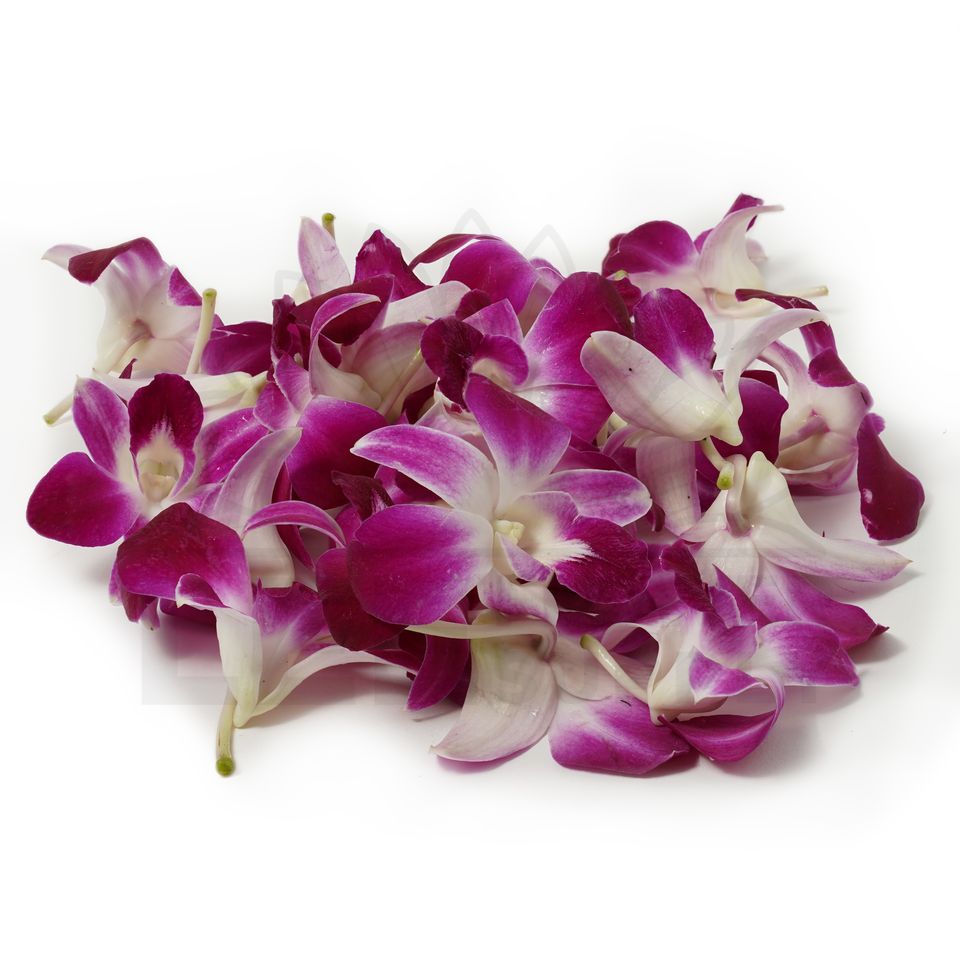 a handful of purple orchid